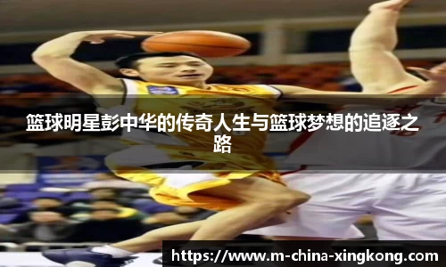 XINGKONG体育官方网站